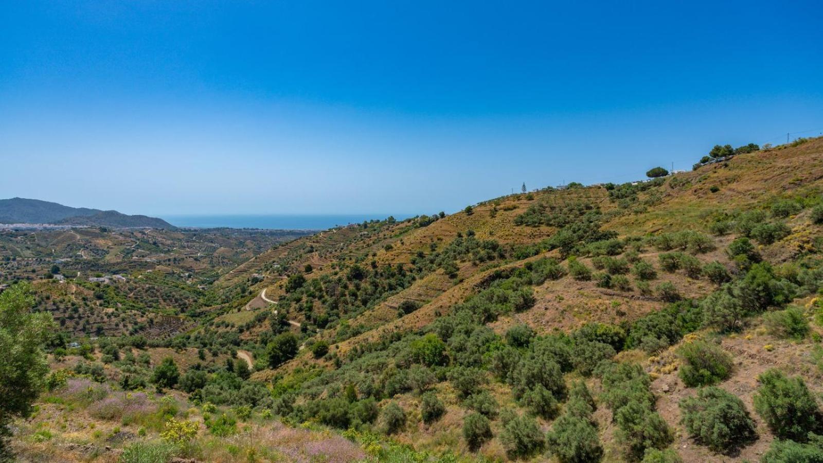 Cortijo El Mirador Frigiliana By Ruralidays Villa Exterior photo